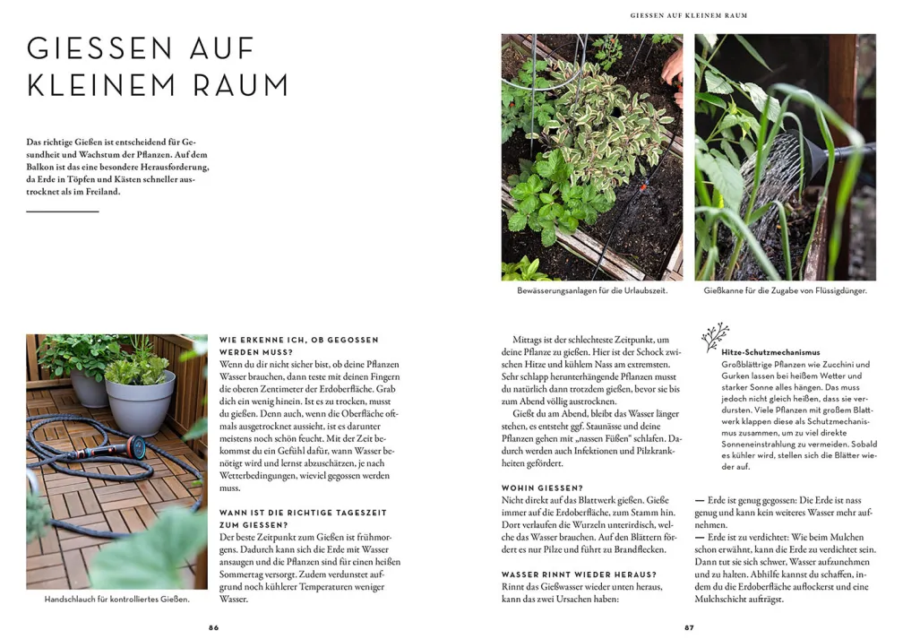 Selbstversorgung aus dem Balkon-Hochbeet