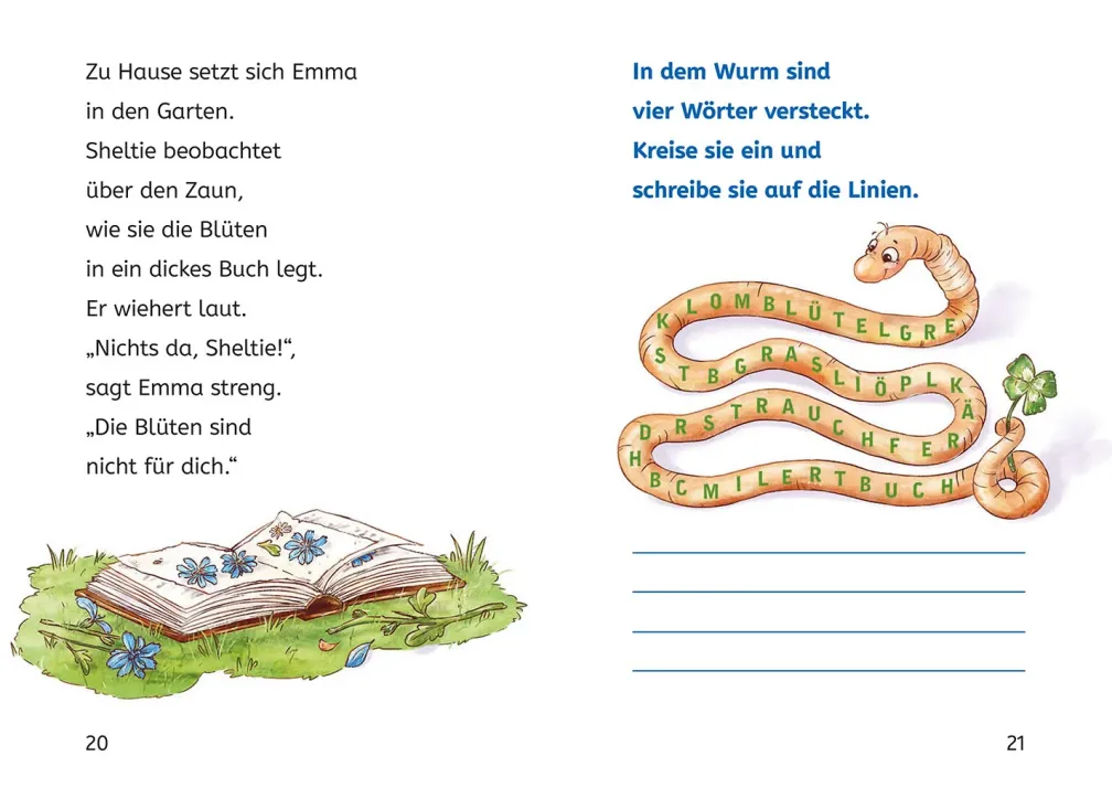 Sheltie, Bücherhelden 1. Klasse, Sheltie in der Schule