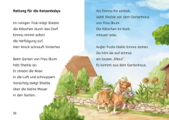 Sheltie, Bücherhelden 1. Klasse, Sheltie und die Katzenbabys