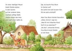 Sheltie, Bücherhelden 1. Klasse, Sheltie und die Katzenbabys