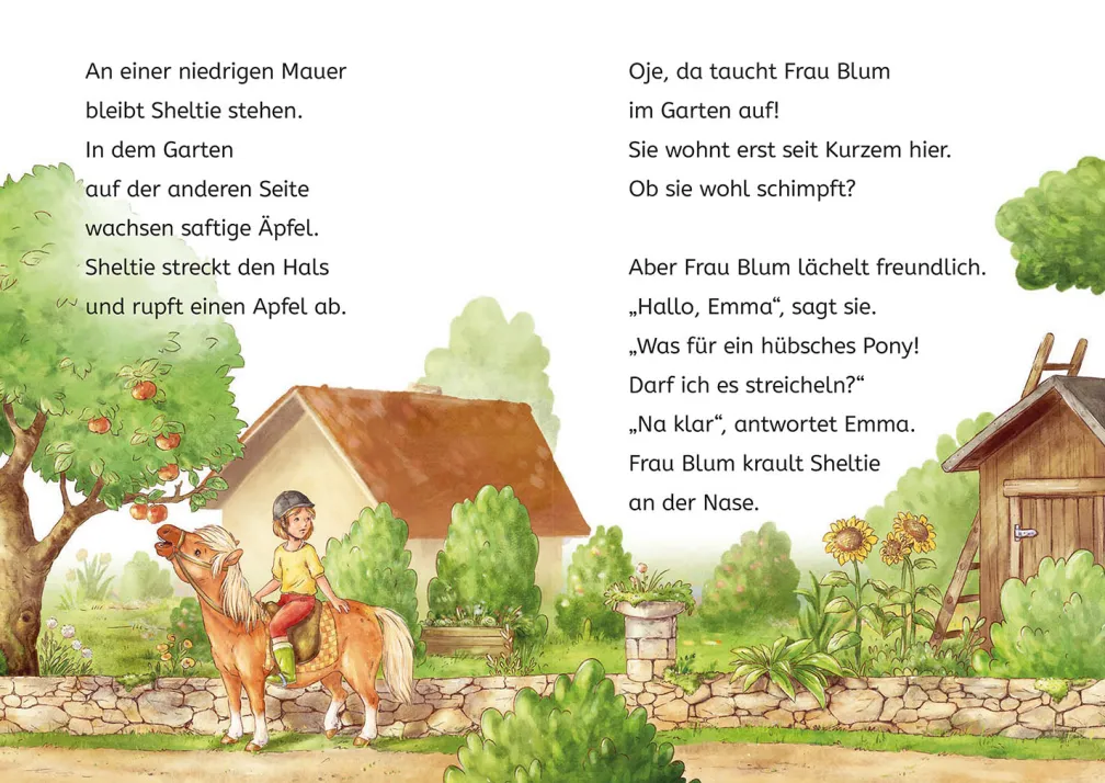 Sheltie, Bücherhelden 1. Klasse, Sheltie und die Katzenbabys