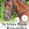So lernen Pferde Reiterhilfen