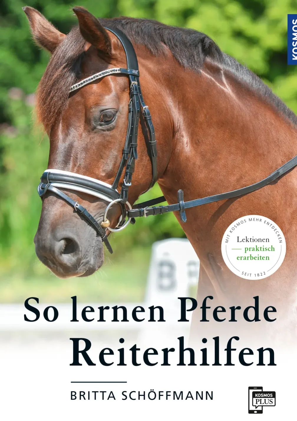 So lernen Pferde Reiterhilfen