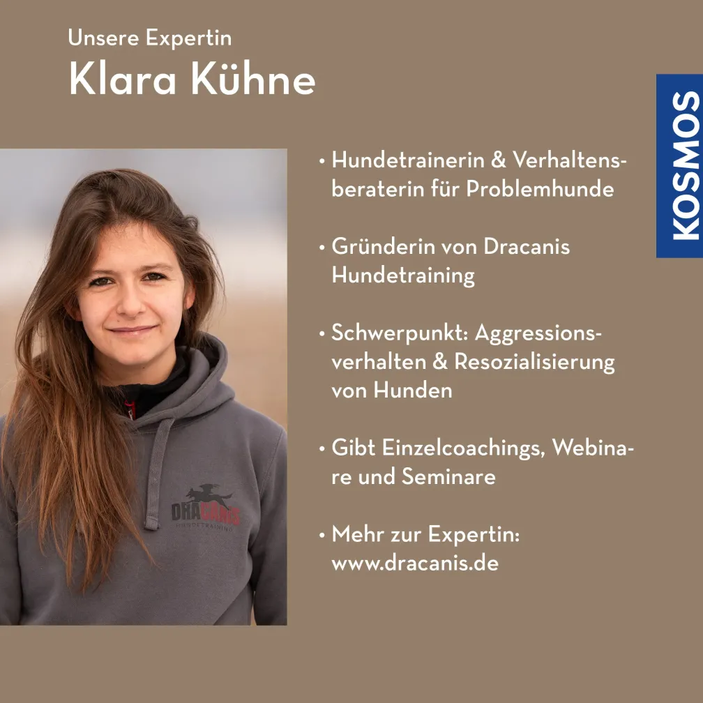 Sozialkompetenz durch Sozialkontakt?