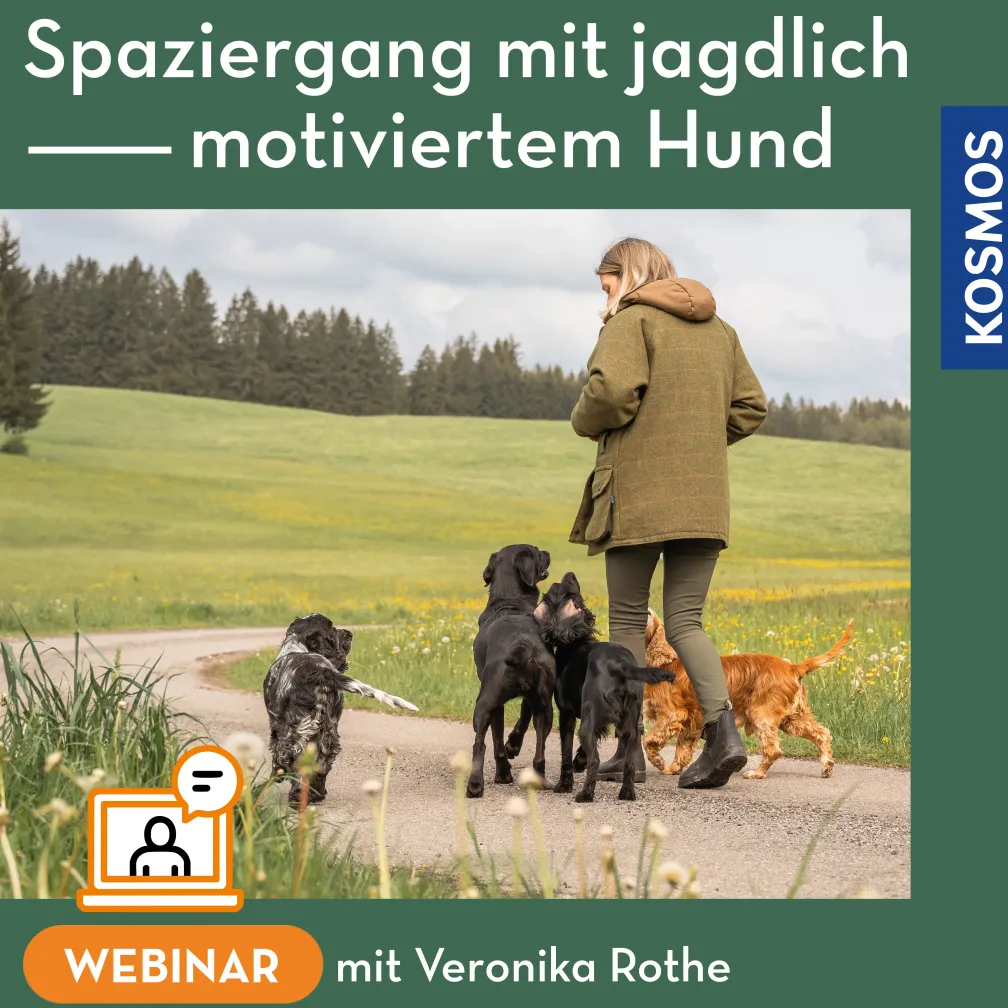 Spaziergang mit jagdlich motiviertem Hund