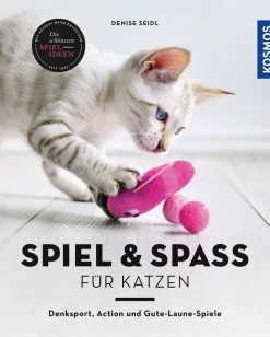Spiel & Spaß für Katzen