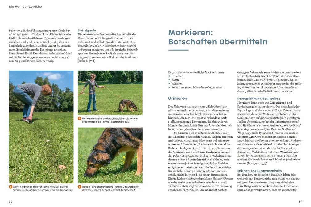 Sprachkurs Hund mit Martin Rütter