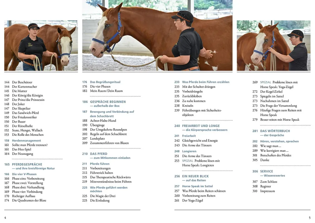 Sprachkurs Pferd - Das Trainingsbuch