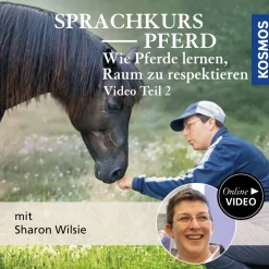 Sprachkurs Pferd – Wie Pferde lernen, Raum zu respektieren Teil 2