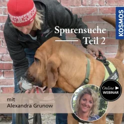 Spurensuche Teil 2