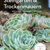 Steingärten und Trockenmauern (Mein Garten)