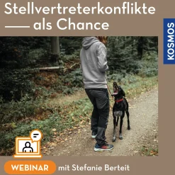 Stellvertreterkonflikte als Chance