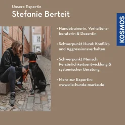 Stellvertreterkonflikte als Chance