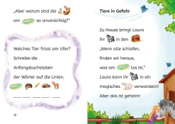 Sternenschweif, Bücherhelden Vorschule, Im Wald der Wunder