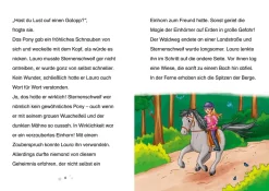 Sternenschweif, 71, Das verzauberte Bild