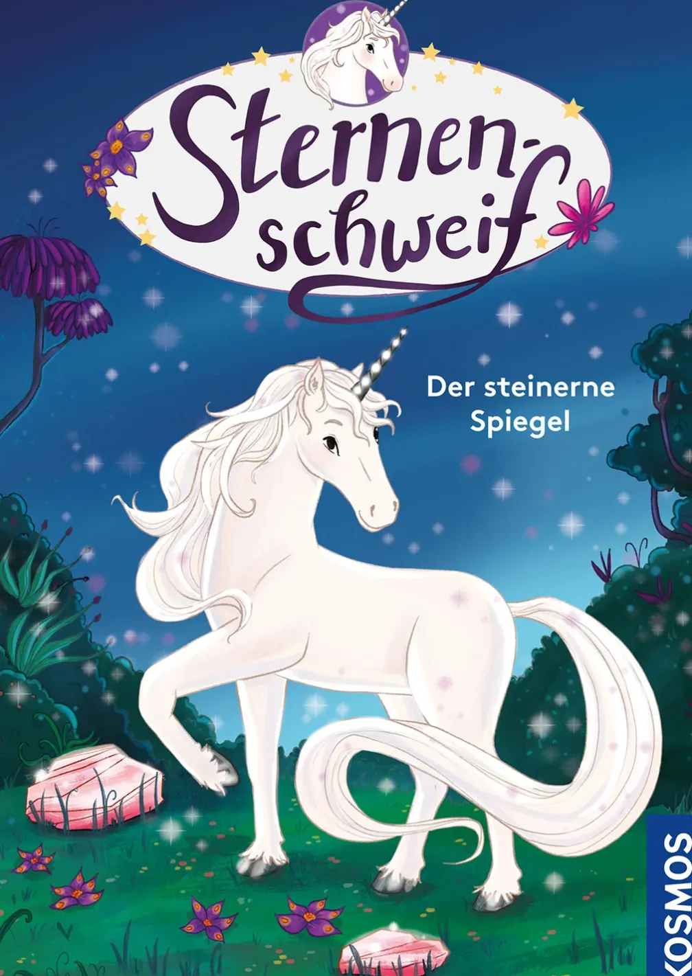 Sternenschweif, Der steinerne Spiegel