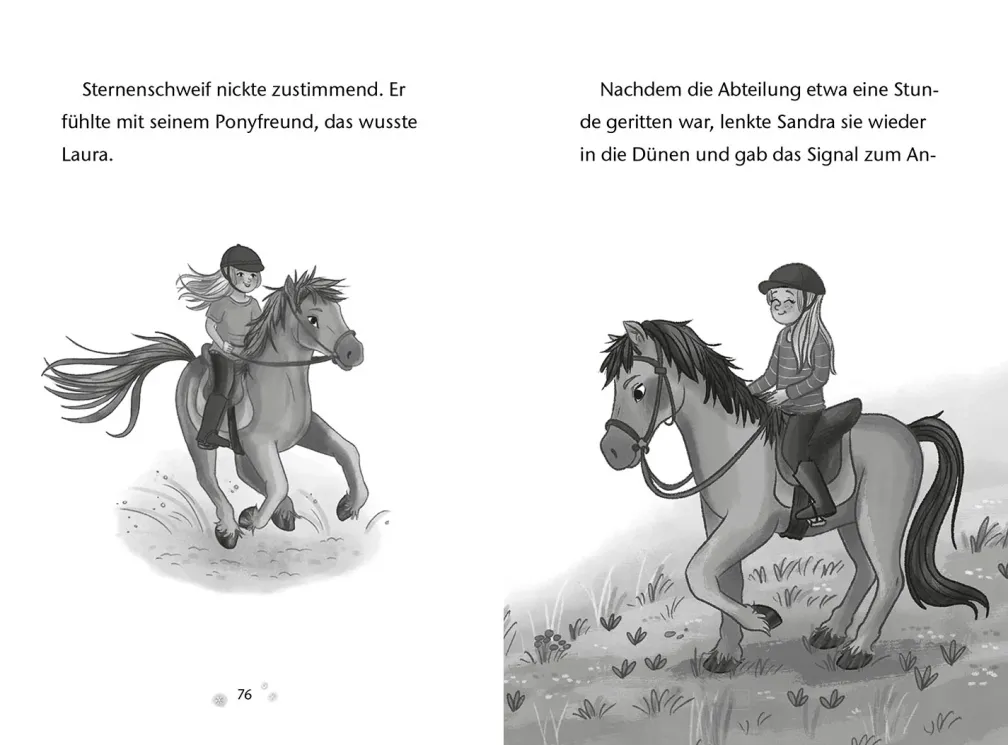 Sternenschweif, Insel der Träume
