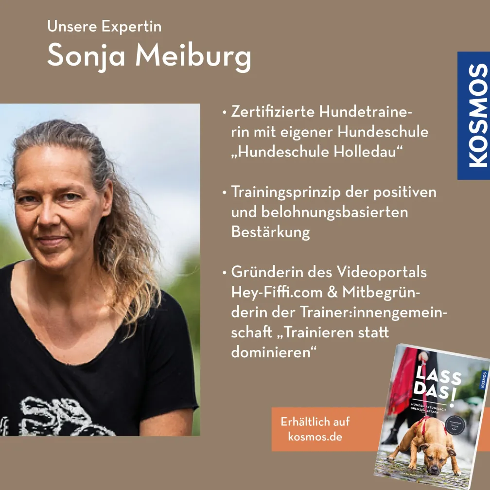 Stopp! Ungewolltes Verhalten fair unterbrechen