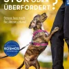 Stur oder überfordert?