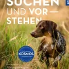 Suchen und Vorstehen