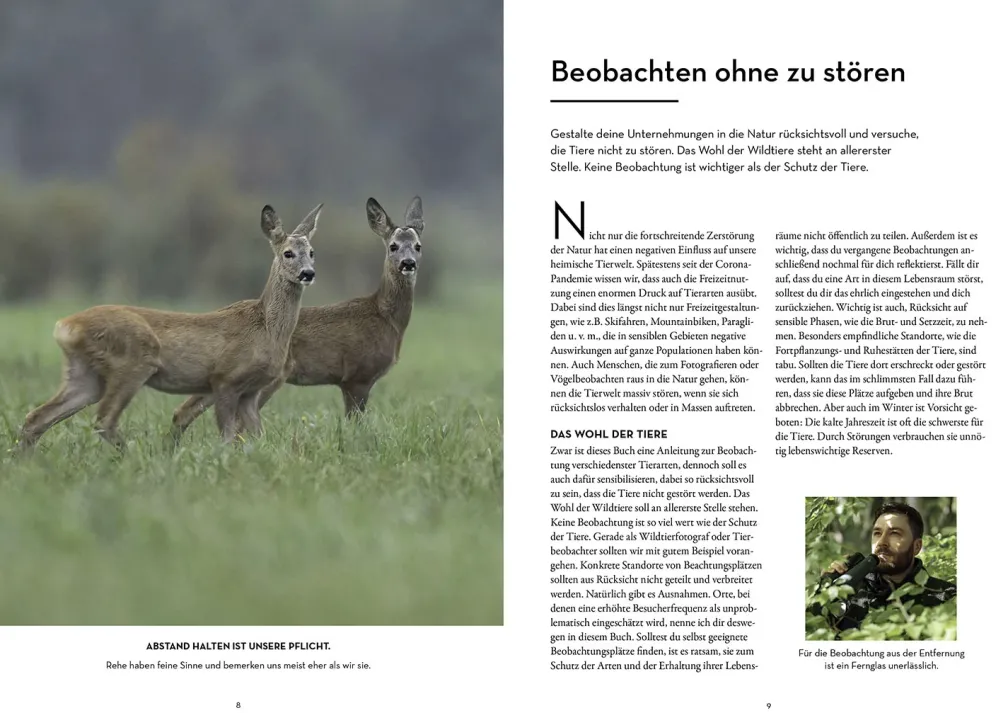 Tiere beobachten mit dem Wildtierguide