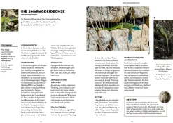 Tiere beobachten mit dem Wildtierguide