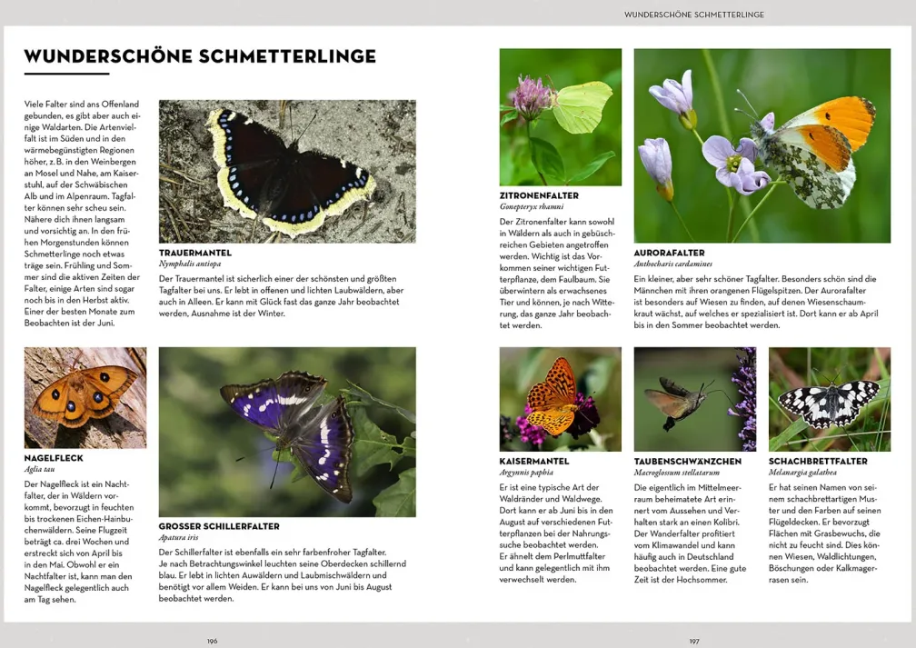 Tiere beobachten mit dem Wildtierguide