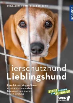 Tierschutzhund Lieblingshund