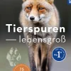 Tierspuren lebensgroß