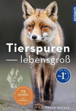 Tierspuren lebensgroß