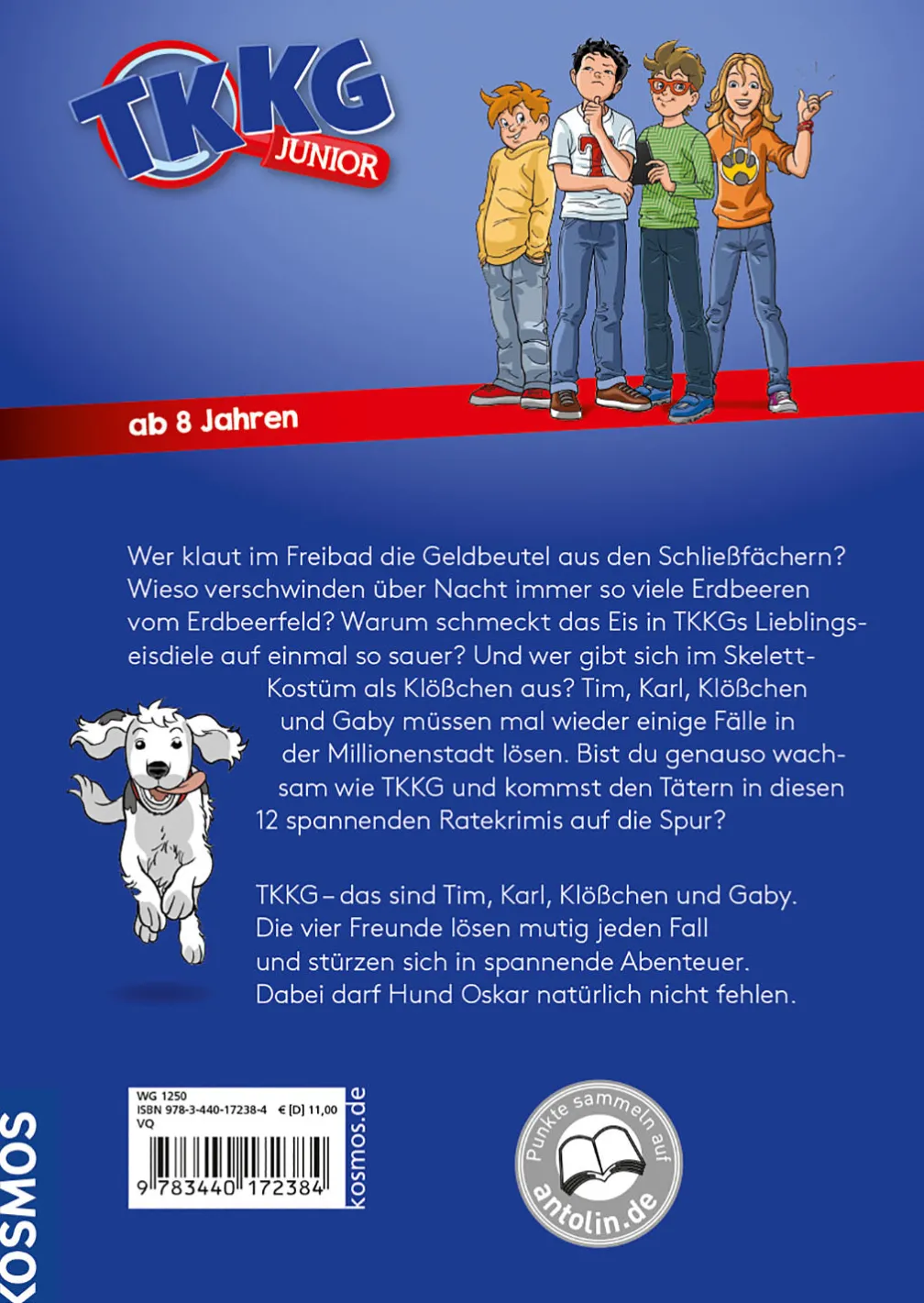 TKKG Junior, Kein Hitzefrei für Detektive - 12 spannende Ratekrimis