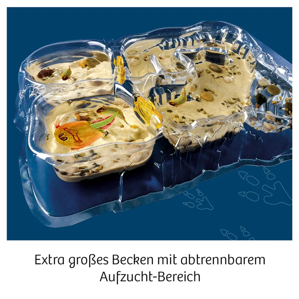 Triops-Welt