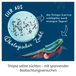 Triops-Welt