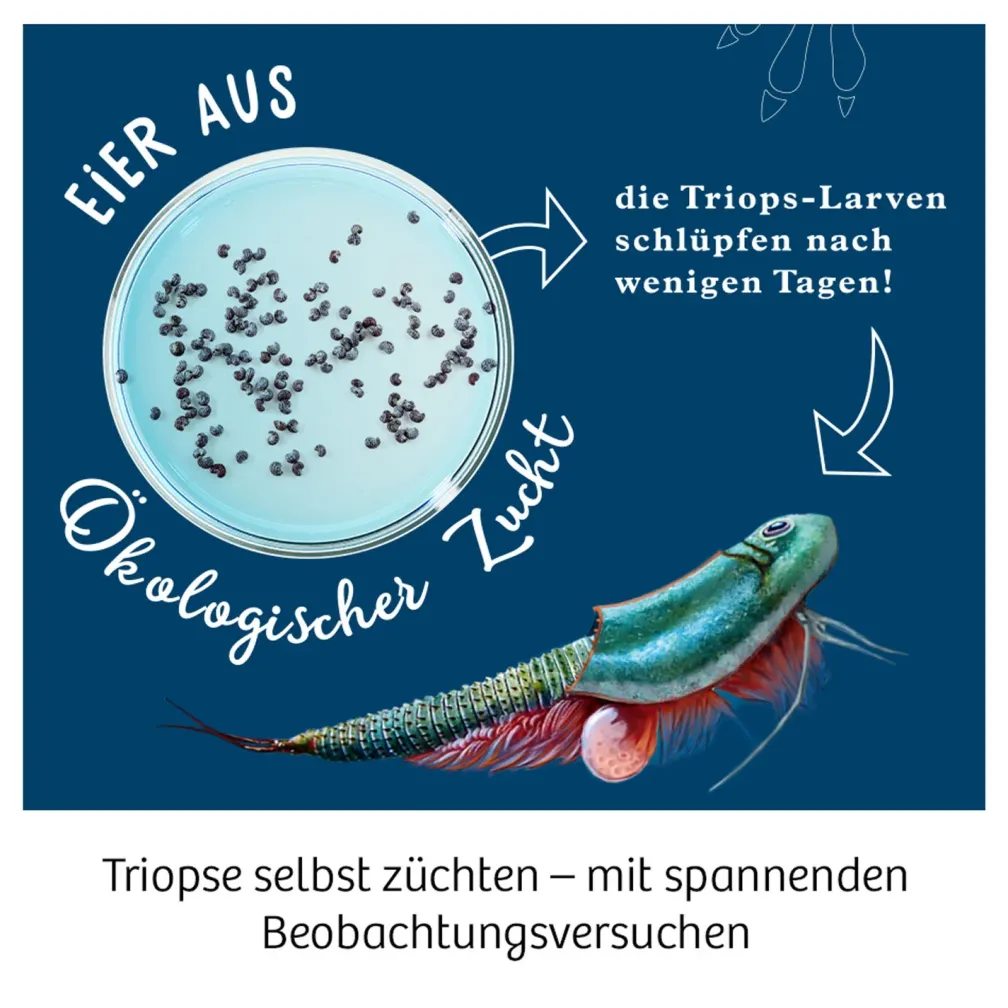 Triops-Welt