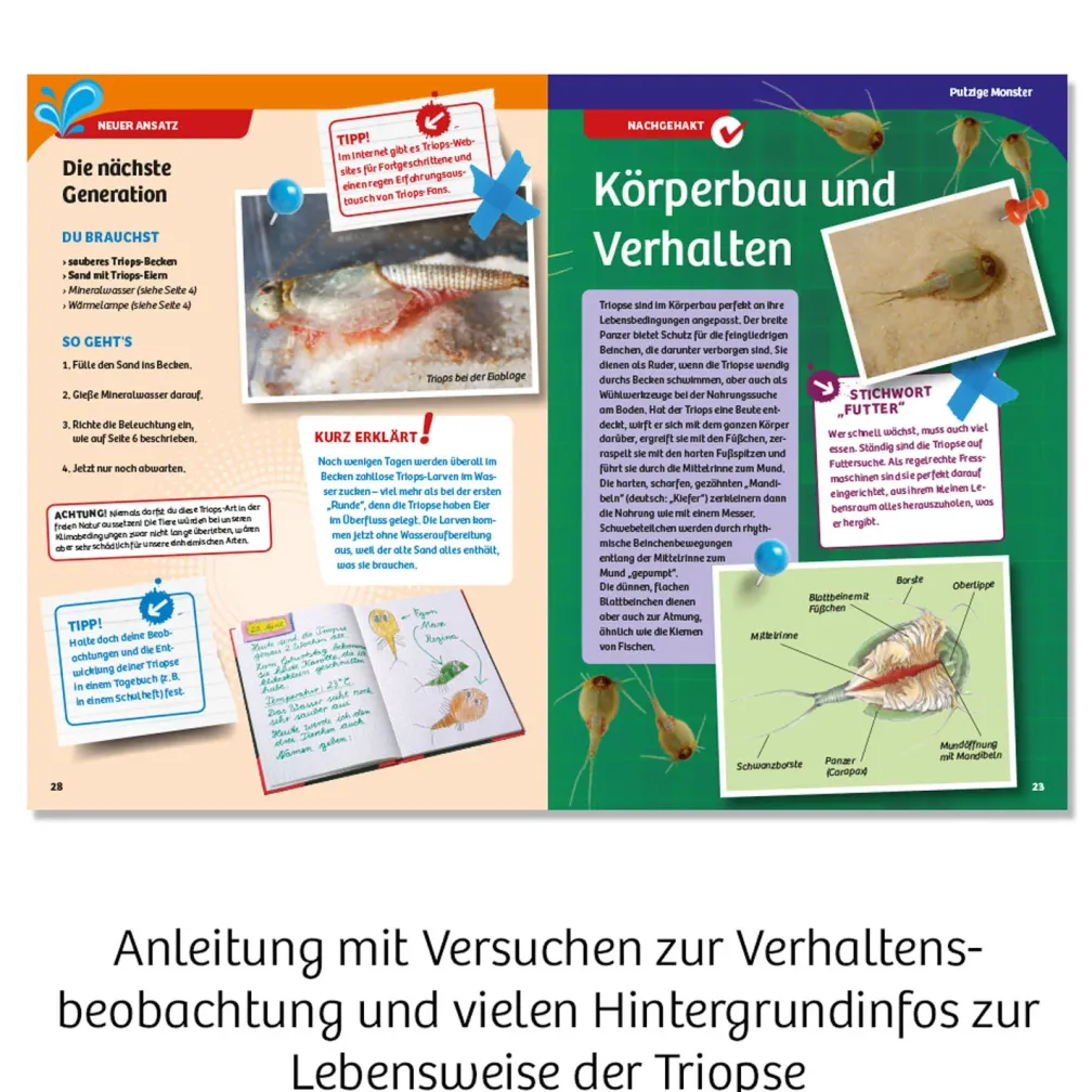 Triops-Welt