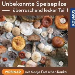 Unbekannte Speisepilze – überraschend lecker Teil 1
