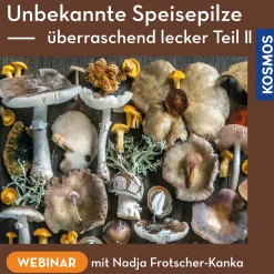 Unbekannte Speisepilze – überraschend lecker Teil 2