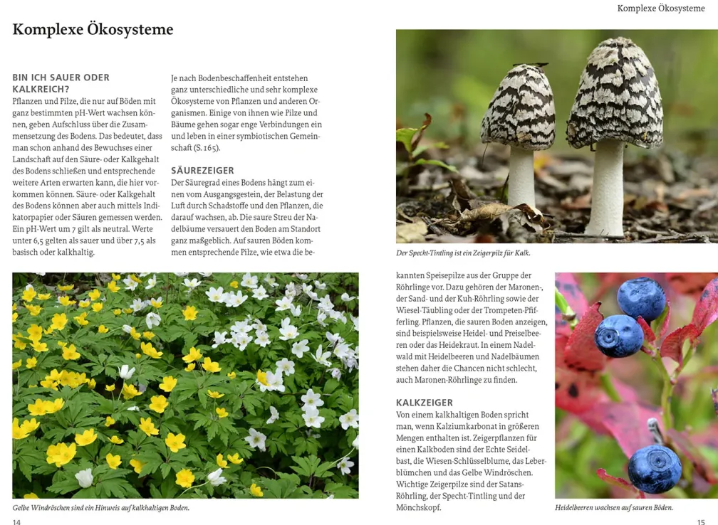 Unsere essbare Natur