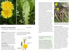 Unsere essbare Natur