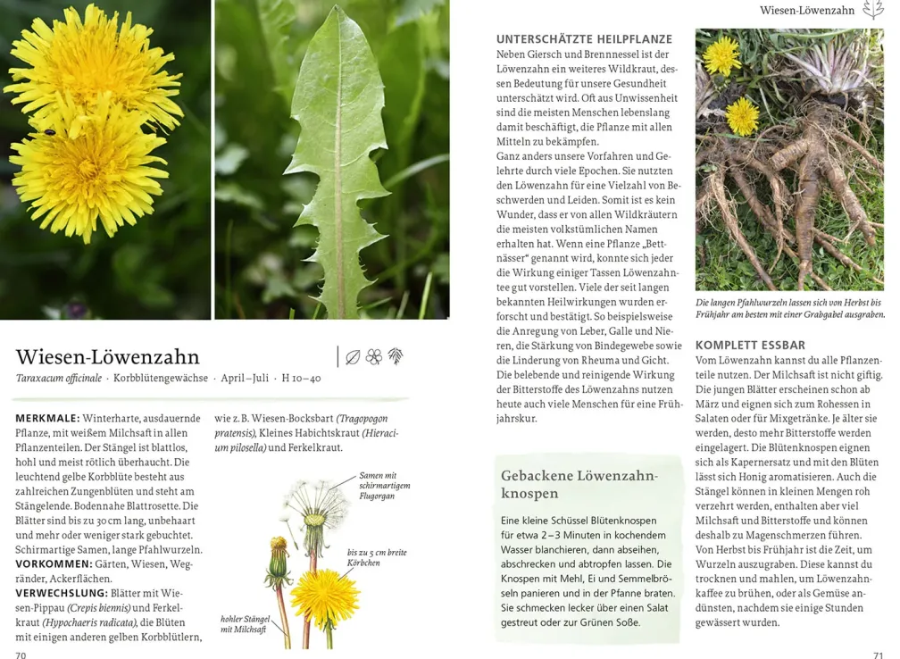 Unsere essbare Natur