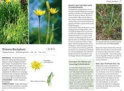 Unsere essbaren Wildpflanzen