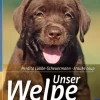 Unser Welpe