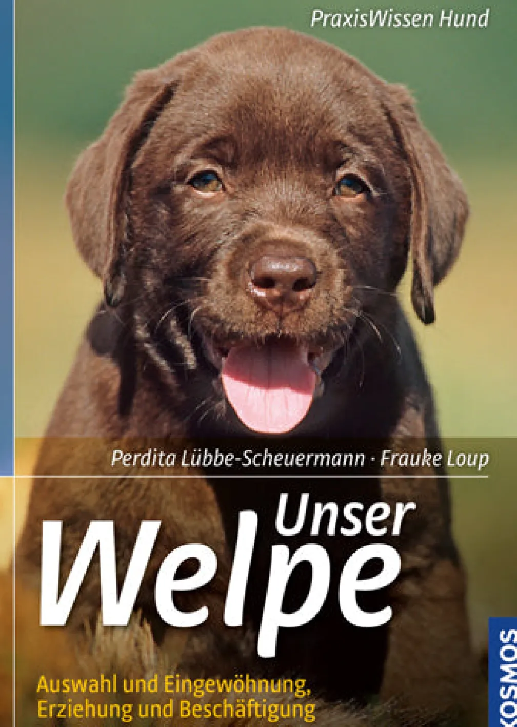 Unser Welpe