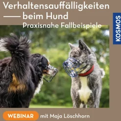 Verhaltensauffälligkeiten beim Hund – praxisnahe Fallbeispiele