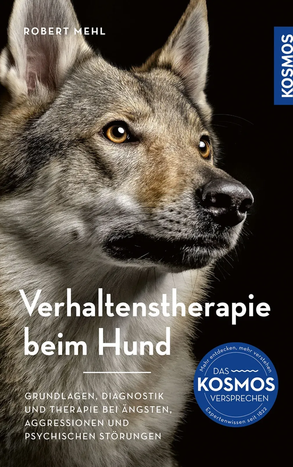 Verhaltenstherapie beim Hund