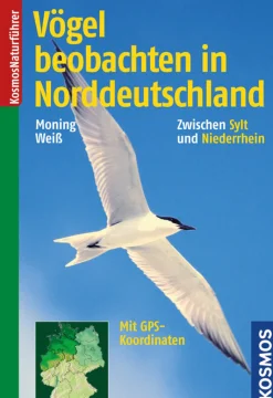 Vögel beobachten in Norddeutschland
