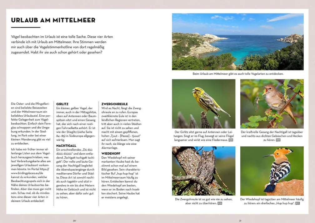 Vögel bestimmen mit den Ohren