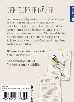 Vögel im Garten