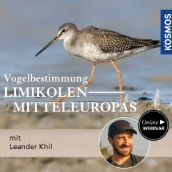 Vogelbestimmung: Limikolen Mitteleuropas