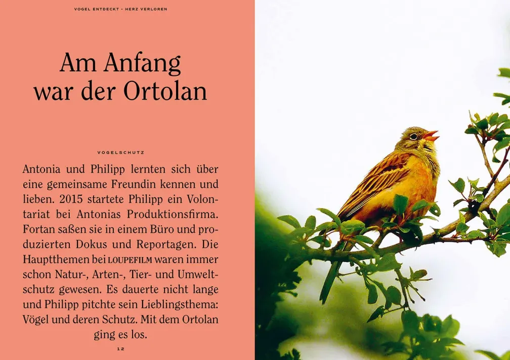 Vogel entdeckt - Herz verloren